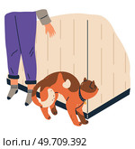 Person spy, observing, sneaking. Character peeping look from behind wall, man pet owner hiding outdoors. Somebody with cute red cat peek, look out, search, eavesdrops on someone elses conversation. Person spy, observing, sneaking. Character and his cat peeping look from behind wall, eavesdroping. Стоковая иллюстрация, агентство Ingram Publishing / Фотобанк Лори