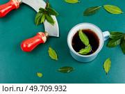 Cup of freshly tea with bay leaves. Bay leaf infusion.. Cup of tea of bay leaf. Стоковое фото, агентство Ingram Publishing / Фотобанк Лори