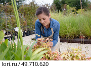 plant nurser worker at work. Стоковое фото, агентство Ingram Publishing / Фотобанк Лори