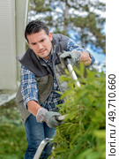 male gardener is shearing bushes. Стоковое фото, агентство Ingram Publishing / Фотобанк Лори