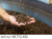 Coffee beans held in a hand. Стоковое фото, агентство Ingram Publishing / Фотобанк Лори