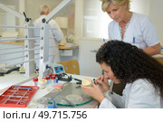 denturist working on deture prothese. Стоковое фото, агентство Ingram Publishing / Фотобанк Лори