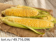 Fresh ripe corncobs on a wooden background. Rural still life with corn. Стоковое фото, агентство Ingram Publishing / Фотобанк Лори