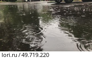 Rain falling on a street with puddles. Стоковое видео, видеограф Ярославский Максим / Фотобанк Лори