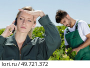 female wineyard worker talking about an issue on the phone. Стоковое фото, агентство Ingram Publishing / Фотобанк Лори