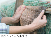 Hands holding skin by fishing net. Стоковое фото, агентство Ingram Publishing / Фотобанк Лори