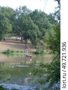 woman using a cabls across the lake for adventure sports. Стоковое фото, агентство Ingram Publishing / Фотобанк Лори