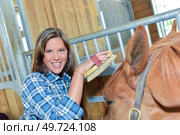 happy woman grooming a horse. Стоковое фото, агентство Ingram Publishing / Фотобанк Лори