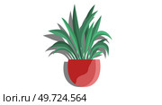 House and home plant. Vector illustration. An interior potted plant can serve as unique element in trendy home decor with plants The choice home plant in flowerpot can be guided by your overall room. House and home plant. Vector. When it comes to room decoration gardening, placement plants in decorative containers matters. Стоковая иллюстрация, агентство Ingram Publishing / Фотобанк Лори