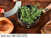 Marjoram, a hot spice, medicinal plant on rustic wooden board.. Fresh marjoram leaves on the table. Стоковое фото, агентство Ingram Publishing / Фотобанк Лори