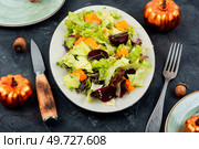 Seasonal autumn salad of roasted pumpkin, beets and lettuce. Autumn food concept.. Vegan pumpkin salad. Стоковое фото, агентство Ingram Publishing / Фотобанк Лори