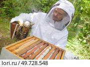 a beekeeper is smoking hive. Стоковое фото, агентство Ingram Publishing / Фотобанк Лори