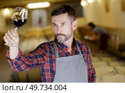 wine producer tilting glass to inspect wine quality. Стоковое фото, агентство Ingram Publishing / Фотобанк Лори