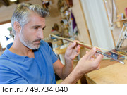 portrait of luthier inspecting his work. Стоковое фото, агентство Ingram Publishing / Фотобанк Лори