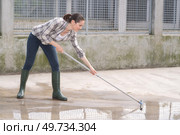 cleaning time for kennel assistant. Стоковое фото, агентство Ingram Publishing / Фотобанк Лори