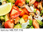 Tasty salad with mix of vegetables, seafood and fresh green lettuce. Macro.. Homemade seafood salad with fish mussels, octopus. Стоковое фото, агентство Ingram Publishing / Фотобанк Лори
