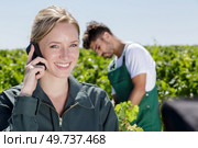 female vintner talking on mobile phone in vineyard. Стоковое фото, агентство Ingram Publishing / Фотобанк Лори
