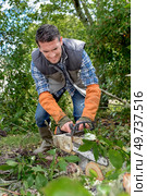 Using chainsaw to cut tree down. Стоковое фото, агентство Ingram Publishing / Фотобанк Лори