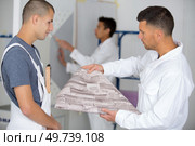 two house painters looking at wall paper. Стоковое фото, агентство Ingram Publishing / Фотобанк Лори