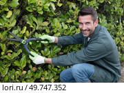 man working in garden is pruning of ornamental trees. Стоковое фото, агентство Ingram Publishing / Фотобанк Лори