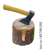Топор, воткнутый в пень на белом фоне. Axe stuck in stump on white background. Стоковое фото, фотограф Татьяна Д / Фотобанк Лори
