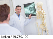 Doctor pointing to xray beside skeleton. Стоковое фото, агентство Ingram Publishing / Фотобанк Лори