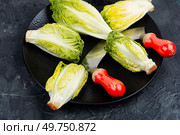 Raw green Romaine lettuce hearts. Baby cos lettuce leaves.. Group of Romaine lettuce hearts. Стоковое фото, агентство Ingram Publishing / Фотобанк Лори