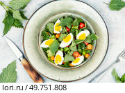 Vitamin salad with nettles, tomatoes and eggs. Healthy eating. Green food. Flat lay. Salad with stinging nettle leaves and egg. Стоковое фото, агентство Ingram Publishing / Фотобанк Лори