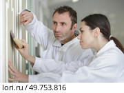 painter and colleague painting wall with roller side view. Стоковое фото, агентство Ingram Publishing / Фотобанк Лори