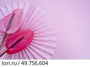 menopausal hormone therapy MHT or hormone replacement therapy HRT concept. menopausal hormone therapy MHT or hormone replacement therapy HRT. Стоковое фото, агентство Ingram Publishing / Фотобанк Лори