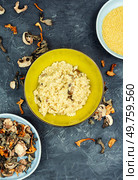 Millet porridge with forest mushrooms in a bowl on a concrete kitchen table.. Bowl of millet porridge with mushrooms. Стоковое фото, агентство Ingram Publishing / Фотобанк Лори