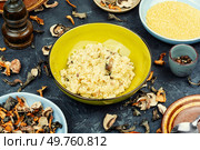Healthy millet porridge with wild mushrooms. Homemade food, vegetarian food.. Porridge with mushrooms, vegetarian dish. Стоковое фото, агентство Ingram Publishing / Фотобанк Лори