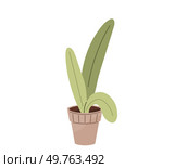 Flower pot. Vector illustration. The blooming roses in garden are sight to behold The bloomy meadows are treat for nature enthusiasts Horticultural practices involve cultivation and care plants. Flower pot. Botanical gardens are treasure trove diverse plant species. Стоковая иллюстрация, агентство Ingram Publishing / Фотобанк Лори