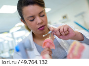 female dentist working preparing a prosthesis. Стоковое фото, агентство Ingram Publishing / Фотобанк Лори