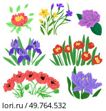 Spring flower vector illustration. The blooming flowers symbolized rejuvenation nature in spring The botanical garden was sanctuary tranquility amidst blooming flowers The spring flower concept. Spring flower. The vegetative growth in spring brought burst vibrant colors. Стоковая иллюстрация, агентство Ingram Publishing / Фотобанк Лори