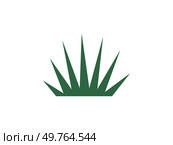 Bush vector illustration. Planting leafy shrubbery enhances natural beauty environment Organic greenery symbolizes unspoiled and innate naturalness flourishing shrubs Bushes and vegetation harmonize. Bush. Bushes and vegetation coalesce, forming botanical haven for wildlife. Стоковая иллюстрация, агентство Ingram Publishing / Фотобанк Лори