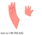 Body part hands vector illustration. Anatomical position is critical reference point in various medical procedures Educational gestures make complex anatomical concepts accessible to diverse learners. Body part. Educational gestures aid in conveying complex anatomical concepts effectively. Стоковая иллюстрация, агентство Ingram Publishing / Фотобанк Лори