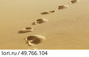Two footprints imprinted in the sandy desert landscape.. Two Footprints in the Desert Sand. Стоковое фото, агентство Ingram Publishing / Фотобанк Лори