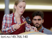 two concentrated wine house workers in cellar. Стоковое фото, агентство Ingram Publishing / Фотобанк Лори