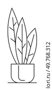 Potted houseplant with three elongated leaves, created in clean line art style. Ideal for contemporary home decor, minimalist designs, botanical themes, vector illustrations, and indoor gardening inte. Simple Line Art Houseplant in Minimalistic Pot for Elegant Interior Decor. Стоковая иллюстрация, агентство Ingram Publishing / Фотобанк Лори