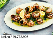 Escargots de Bourgogne, baked snails with garlic, butter and greens. French traditional food.. Mediterranean escargot delicacy snails. Стоковое фото, агентство Ingram Publishing / Фотобанк Лори