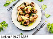 Escargots de Bourgogne, baked snails with garlic, butter and greens. French traditional food.. Mediterranean escargot delicacy snails. Стоковое фото, агентство Ingram Publishing / Фотобанк Лори