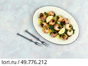 Escargot or snails seasoned with butter. Snails delicates. Space for text.. Dish of snails in spicy sauce, Spanish food. Стоковое фото, агентство Ingram Publishing / Фотобанк Лори