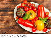 Assorted heirloom tomatoes on a rustic wooden table. Ripe tomatoes on rustic wooden background. Стоковое фото, агентство Ingram Publishing / Фотобанк Лори