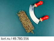 Dried medicinal plant wormwood, herbal medicine. Copy space.. Dried wormwood, Chinese herbal medicine. Стоковое фото, агентство Ingram Publishing / Фотобанк Лори