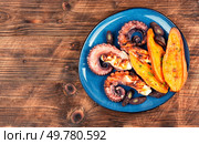 Succulent grilled octopus plated with baked sweet potato. Copy space. Space for text. Seafood.. Grilled octopus with vegetables. Стоковое фото, агентство Ingram Publishing / Фотобанк Лори