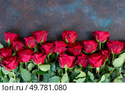 Crimson red rose flowers border, Valentine’s Day background. Crimson red rose flowers. Стоковое фото, агентство Ingram Publishing / Фотобанк Лори