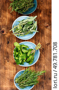 Fresh scented organic herbs for cooking shot on kitchen table.. Fresh spices and herbs. Стоковое фото, агентство Ingram Publishing / Фотобанк Лори