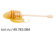 wooden honey stick in puddle isolated on white background. wooden honey stick in puddle. Стоковое фото, агентство Ingram Publishing / Фотобанк Лори