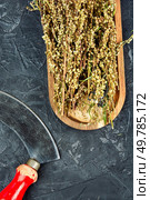Dried wormwood herb for medicinal tea. Wormwood in phytotherapy.. Wormwood, dried medicinal herbs. Стоковое фото, агентство Ingram Publishing / Фотобанк Лори